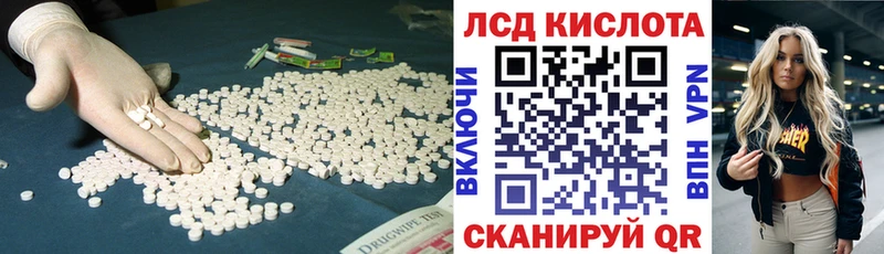 Купить закладки  Волхов  Лсд 25 экстази кислота 