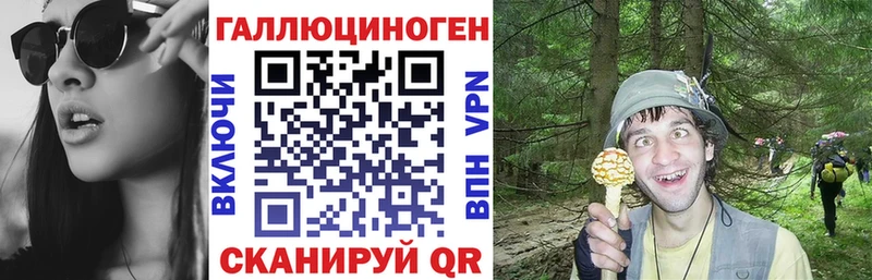 Галлюциногенные грибы Psilocybe  Купить  Волхов 